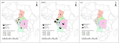 Molecular markers associated with drug resistance in Plasmodium falciparum parasites in central Africa between 2016 and 2021